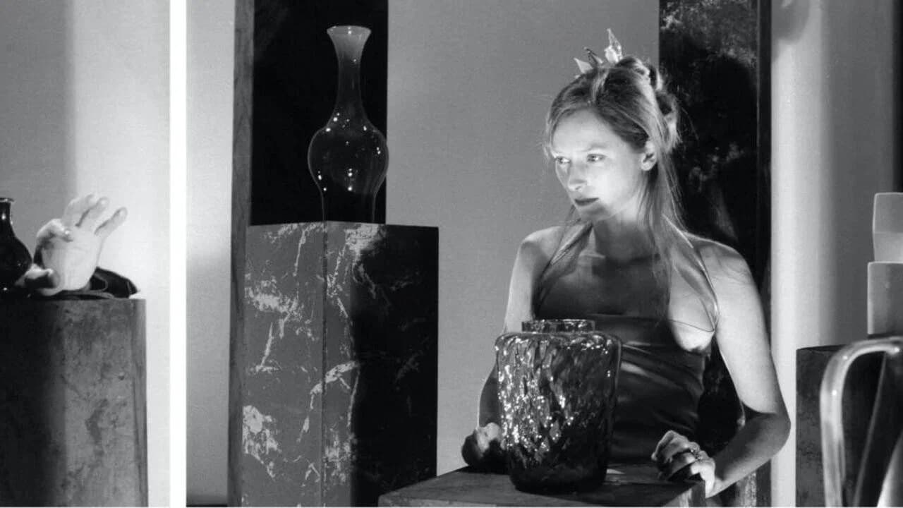 The Party: Nature Morte