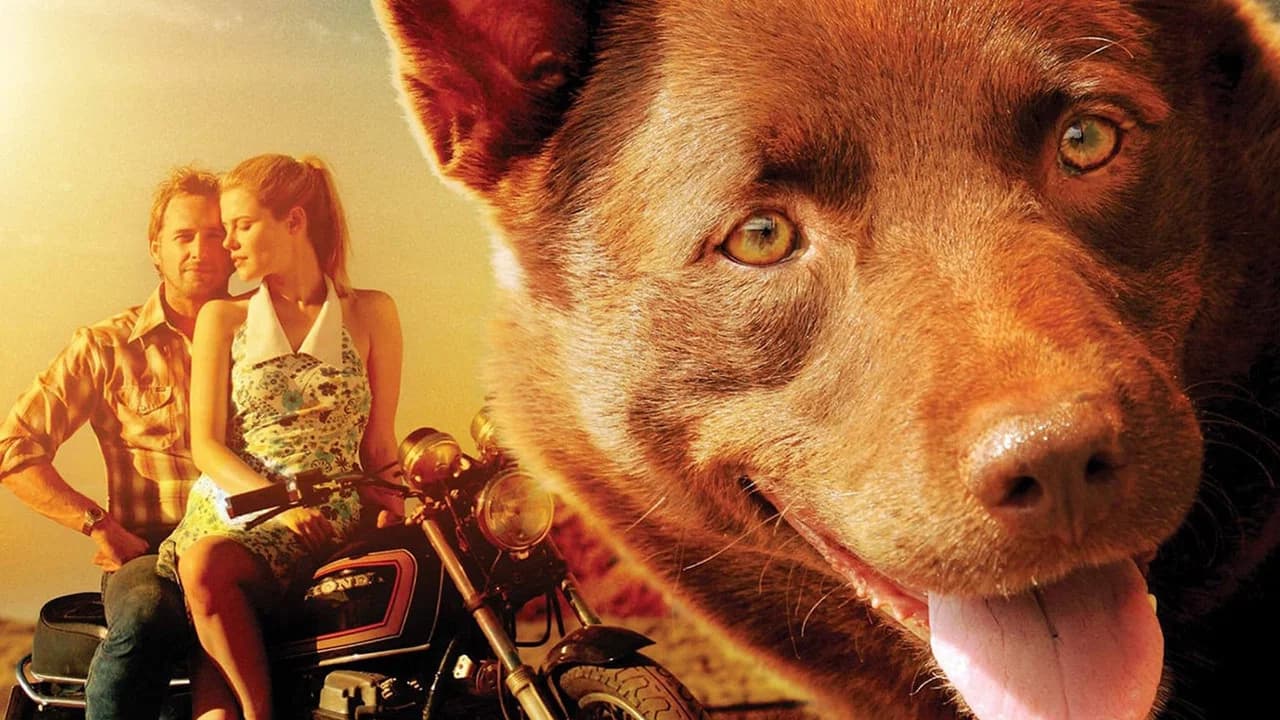 Cão Vermelho