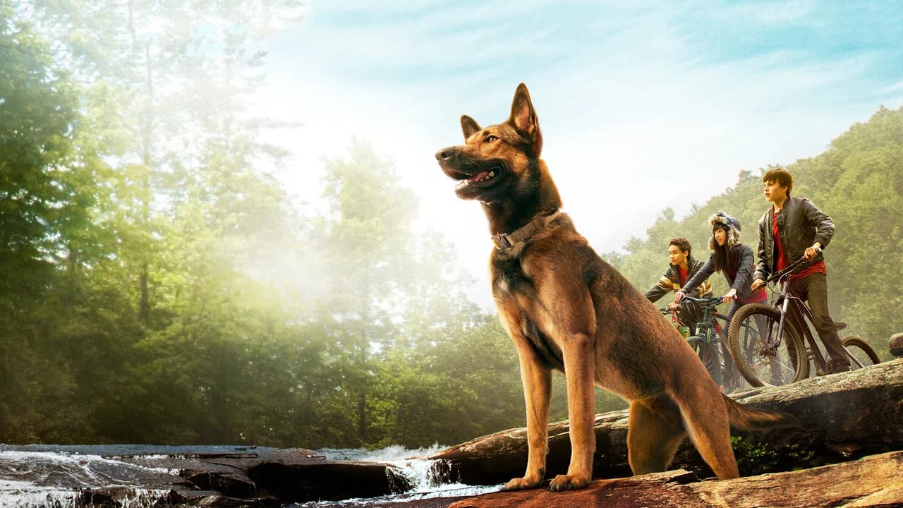 Max: O Cão Herói